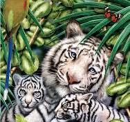 Aquarius Smithsonian Table Of Presidents 1st 44th Obama Pc 20x27in Puzzle