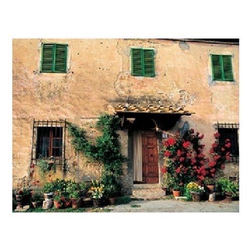 *7 Bear Necessities 500