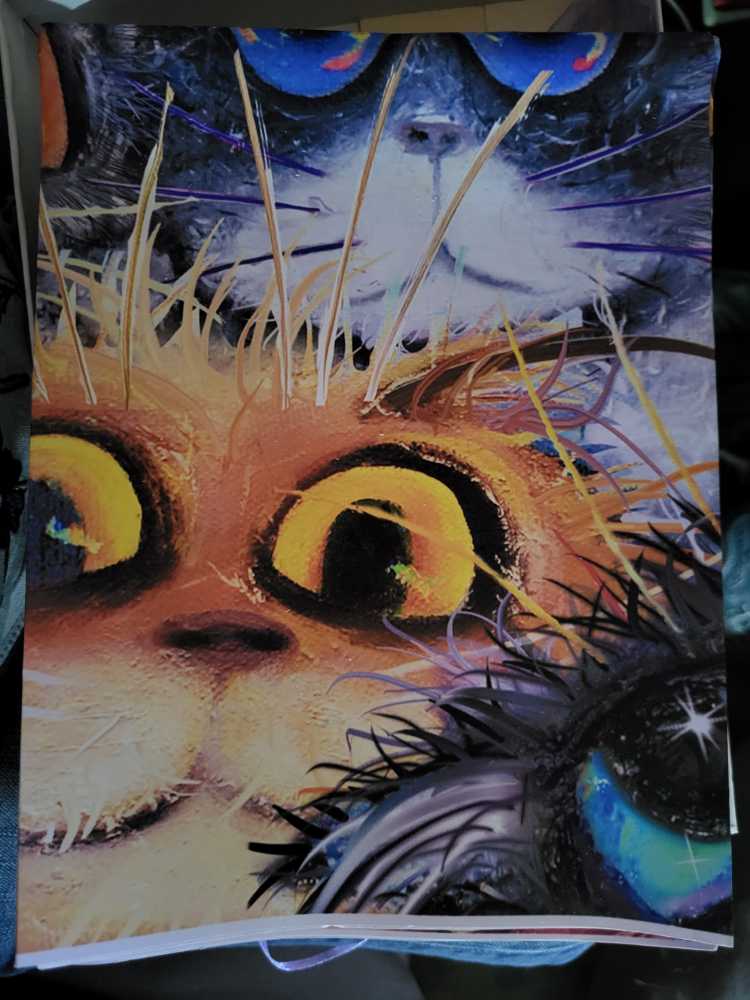 Cat Collage - Teka Puzzle puzzle collectible - Main Image 3