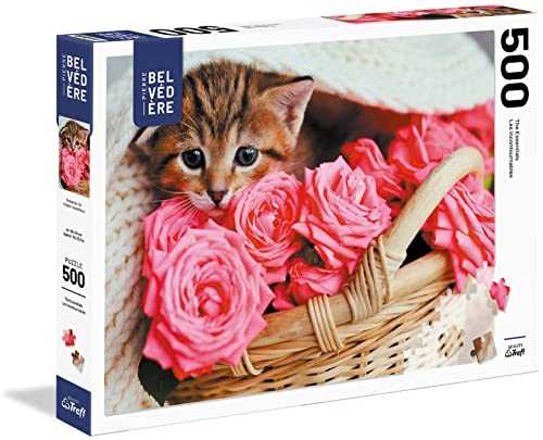 GENERAL (Foil): Purrfect Pair