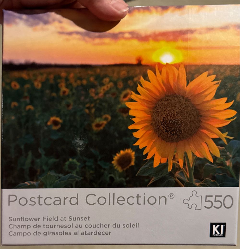 Birds Of The Backyard