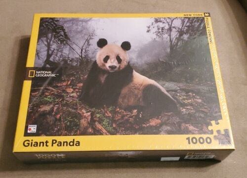 True South Arches National Park