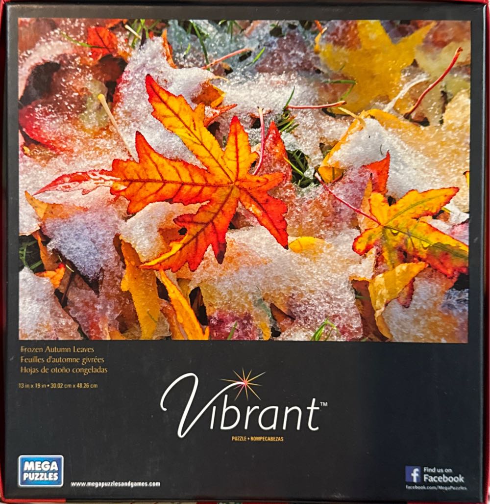 Frozen Autumn Leaves - Mega Puzzles puzzle collectible [Barcode 072348514105] - Main Image 2