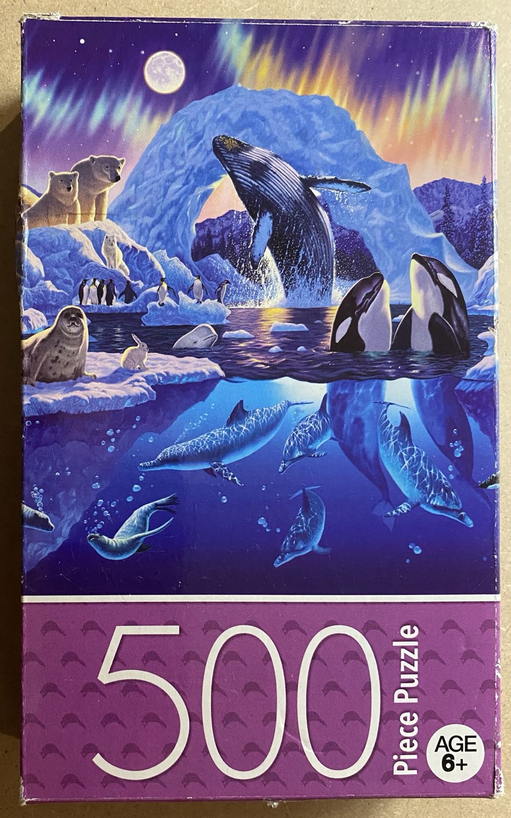 Tropical Butterflies