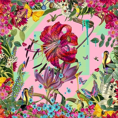 The Cider House Rules Vhs