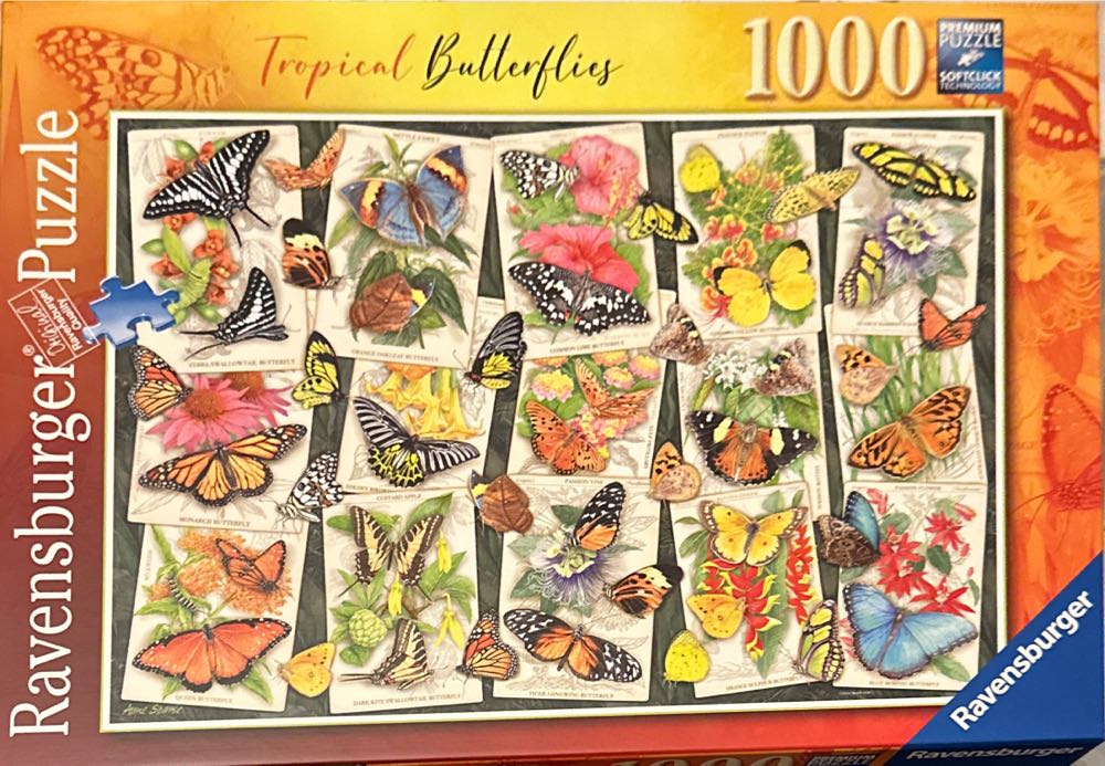 *Puppies And Kittens Play date