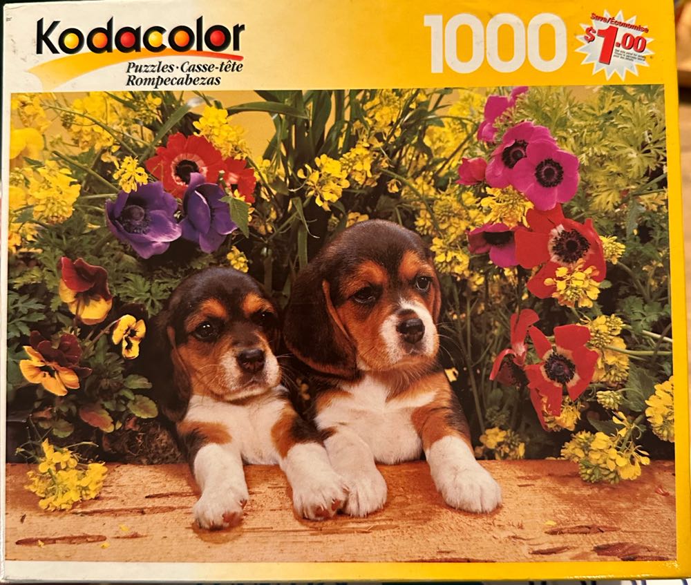 DC - Superman Action Comics