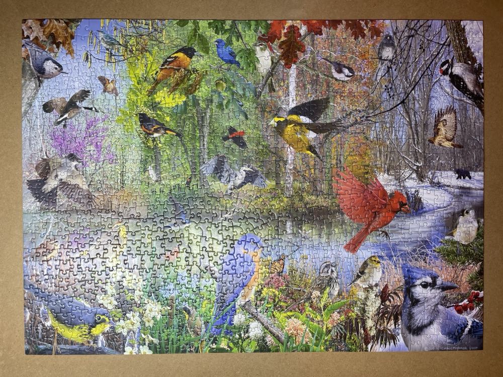 Cobble Hill Piece Puzzle Birds Of The Season Sample Poster Included - Cobble Hill puzzle collectible [Barcode 625012401630] - Main Image 2