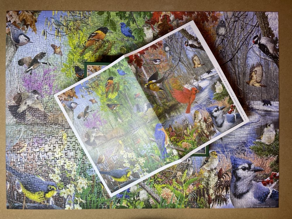 Cobble Hill Piece Puzzle Birds Of The Season Sample Poster Included - Cobble Hill puzzle collectible [Barcode 625012401630] - Main Image 4