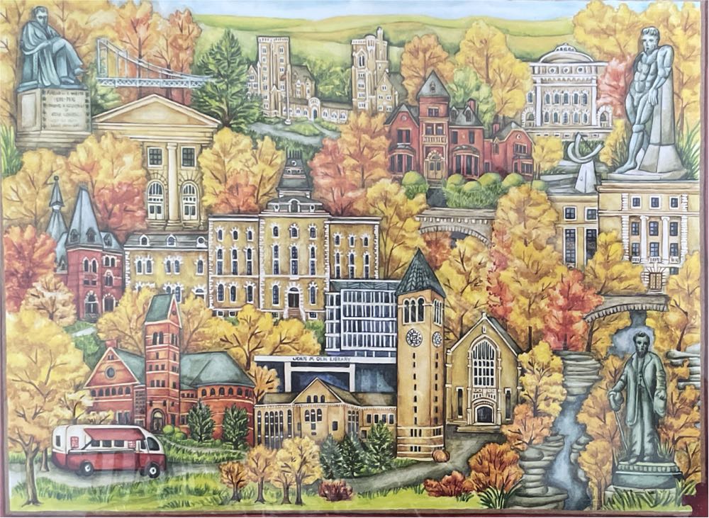 Birds - Puzzle Collector 4x 500