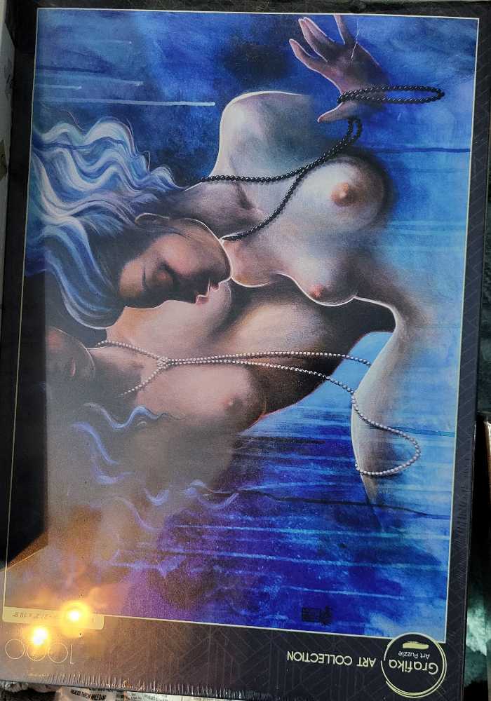 1000 Teile Puzzle Schloss Neuschwanstein