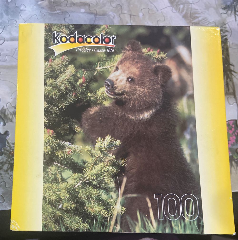 last Swim Of The Season