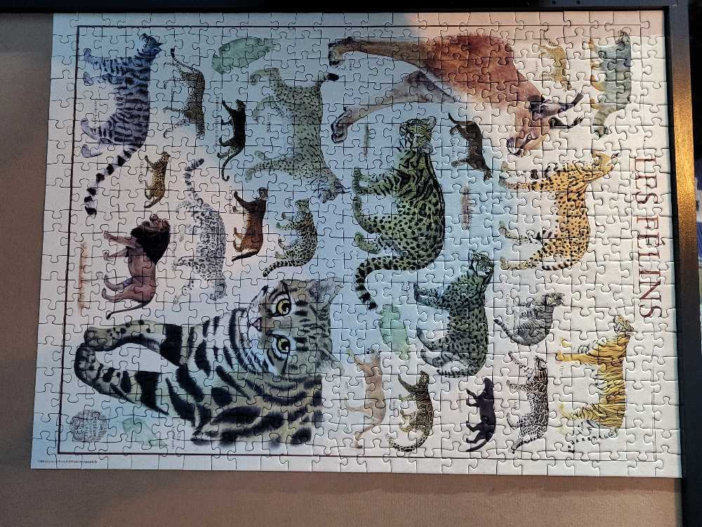 Museum Natural Of History D’ Felines - Nathan puzzle collectible [Barcode 4005556872923] - Main Image 2
