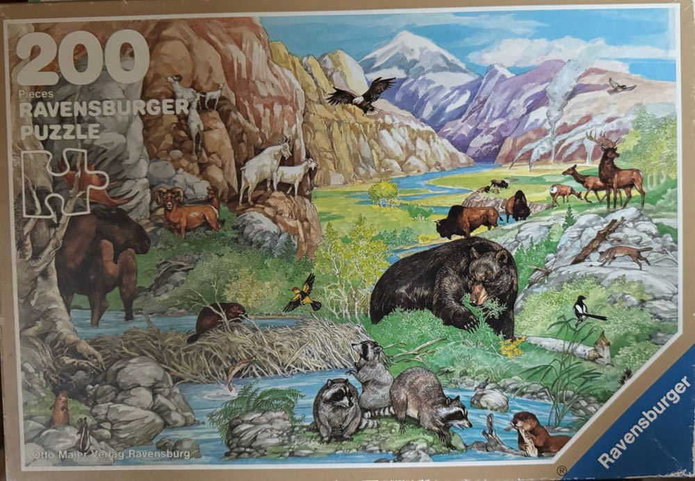 The Alps Austria Castorland Lake In The Alps Austria Tei Austria Pcs Castor Jigsaw Alpes Lac El.