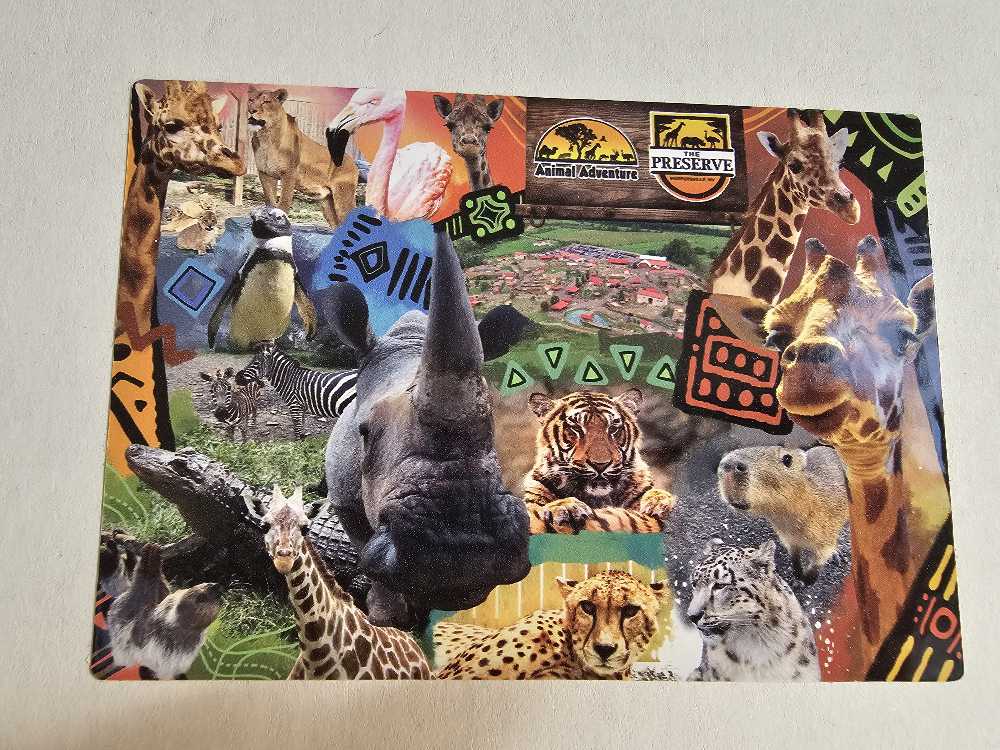 Junior Puzzle 100 Pieces: Cat In Bucket