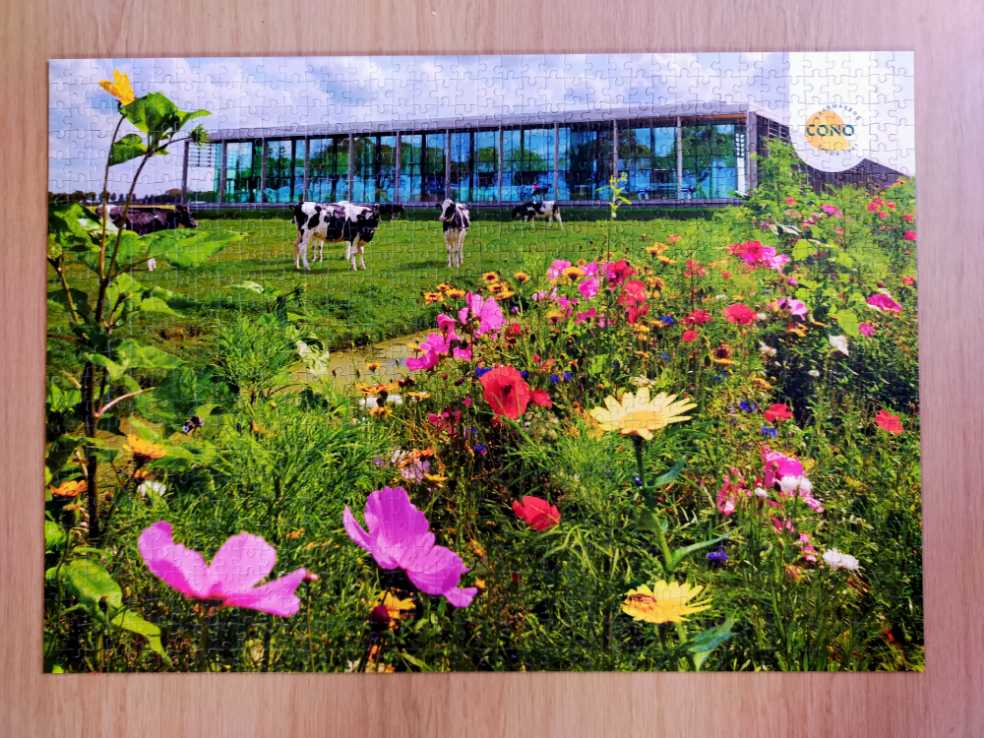 Jongerendag 2023 - Cono kaasmakers puzzle collectible - Main Image 2