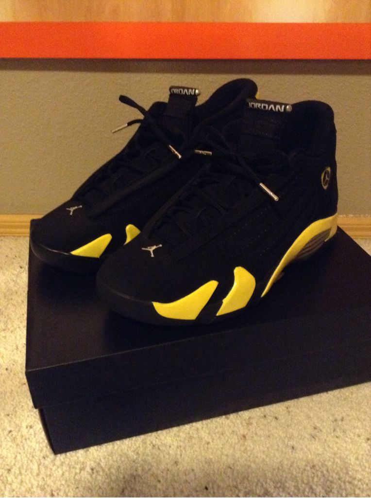 Air Jordan 14 Retro - Air Jordan shoe collectible [Barcode 887223999423] - Main Image 1