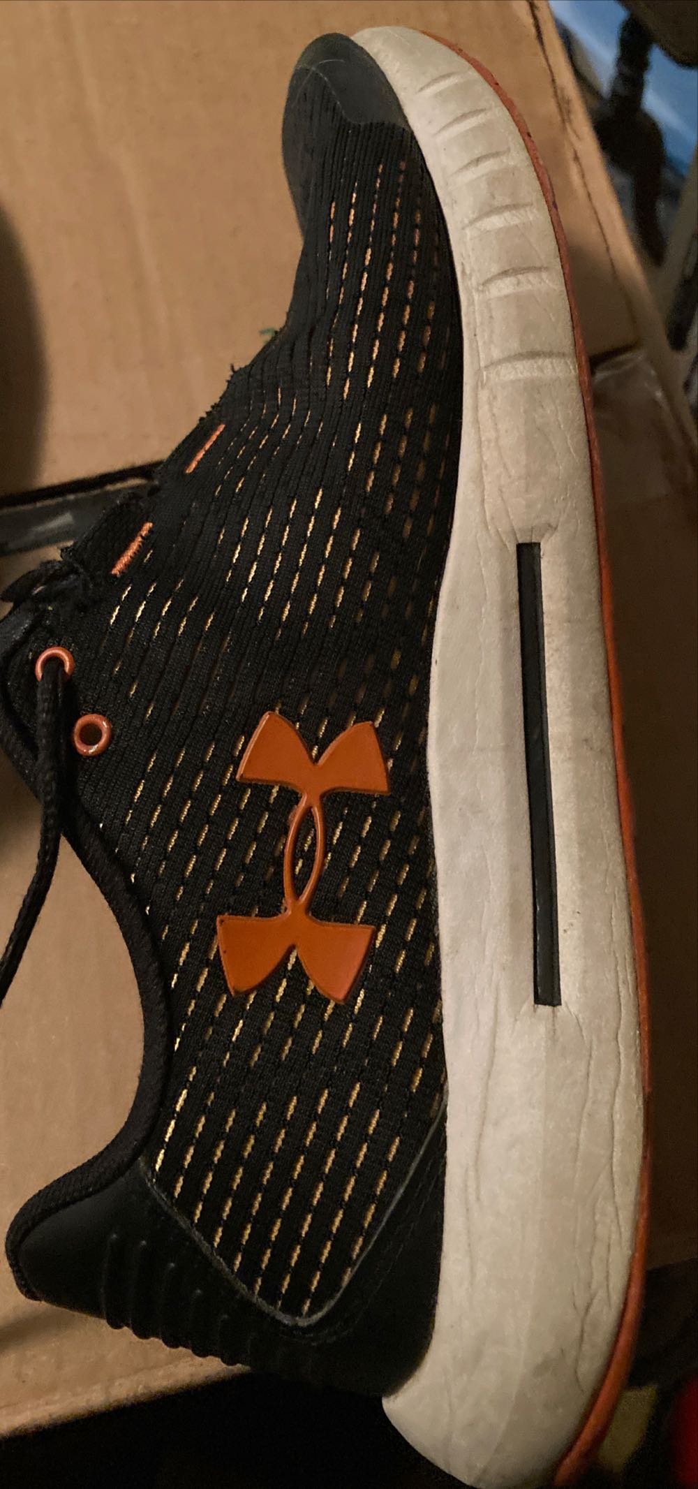 Jordan 1 Low True Blue