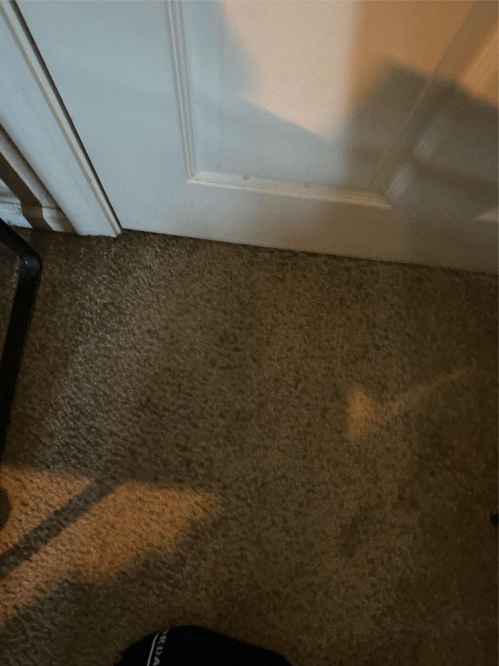 Image 30848