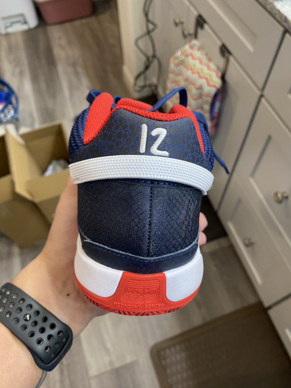 Ja 1 - Nike shoe collectible [Barcode 197597510132] - Main Image 3