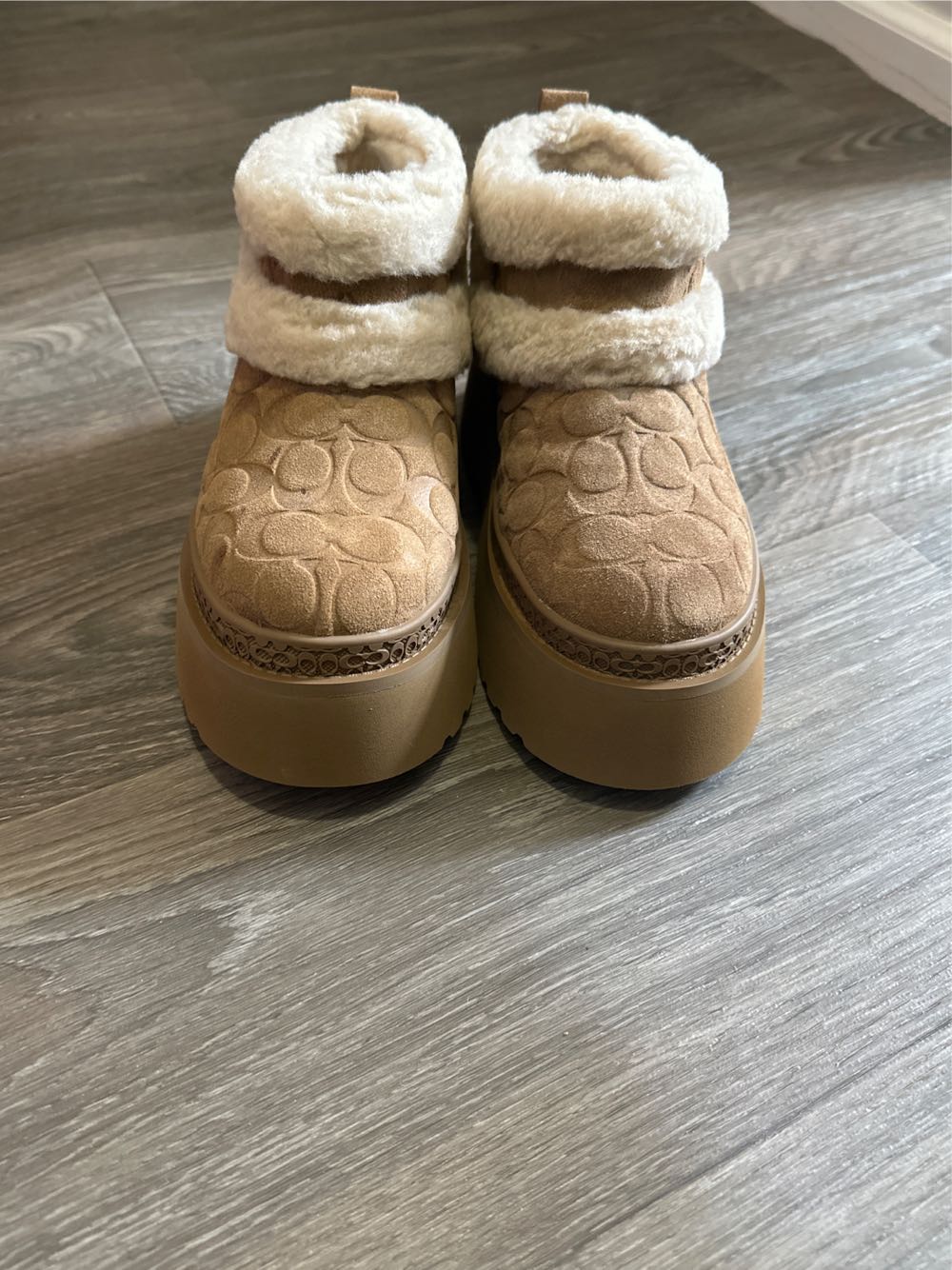 Christina Sig CZ368 C - Coach shoe collectible - Main Image 2