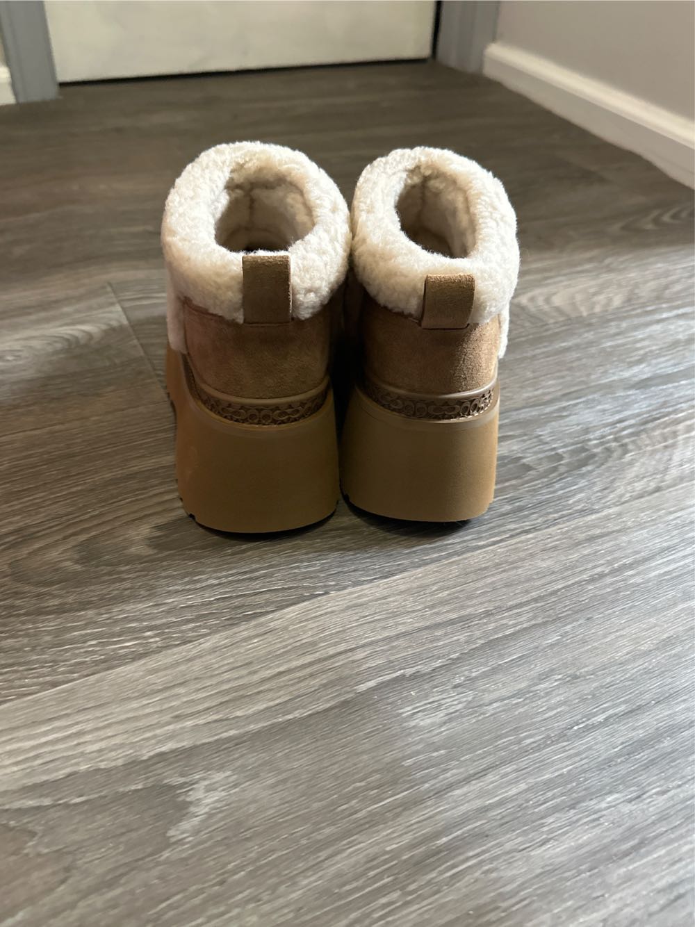 Christina Sig CZ368 C - Coach shoe collectible - Main Image 3