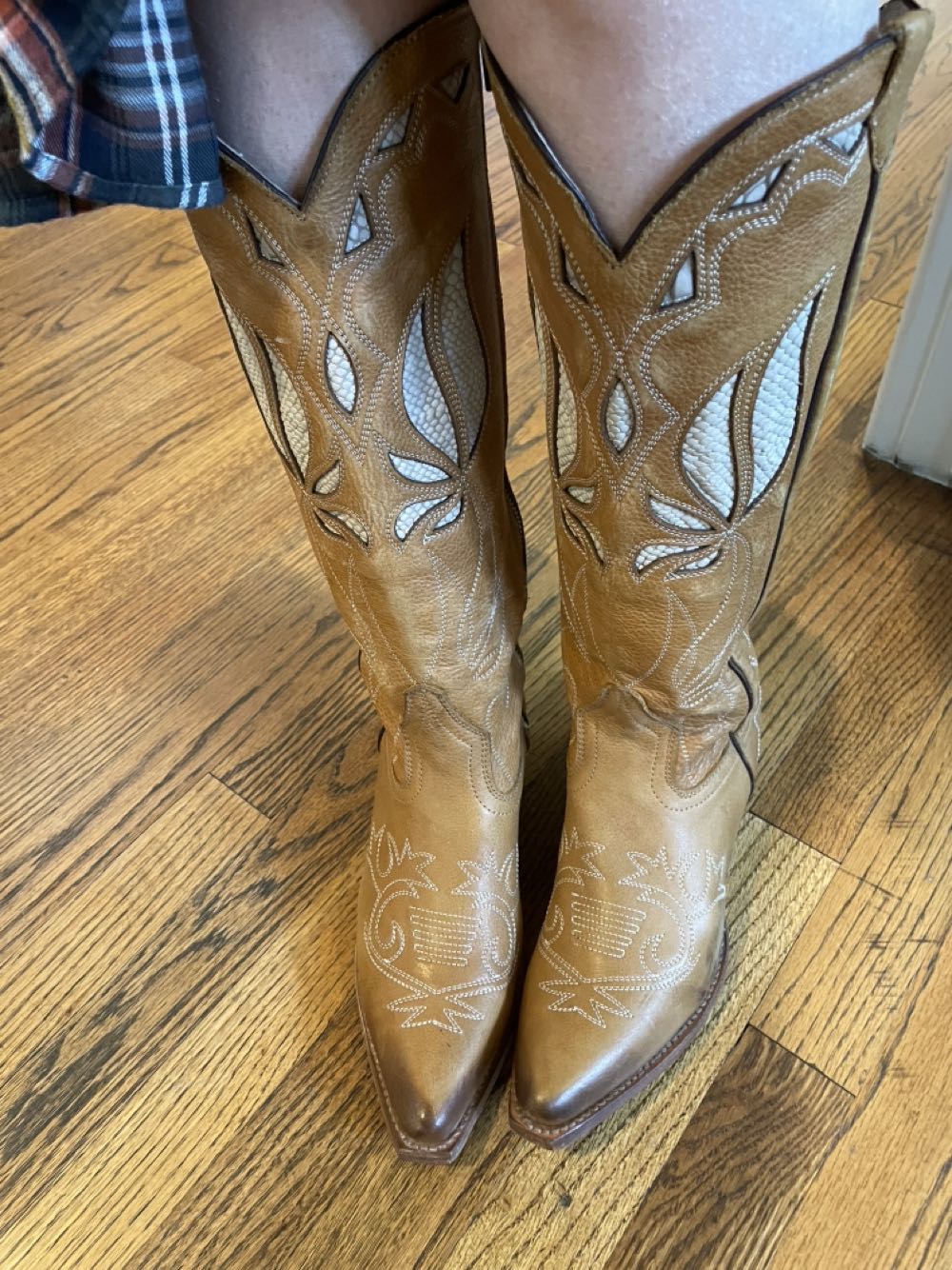 Rosie - Freebird By Steven shoe collectible - Main Image 3