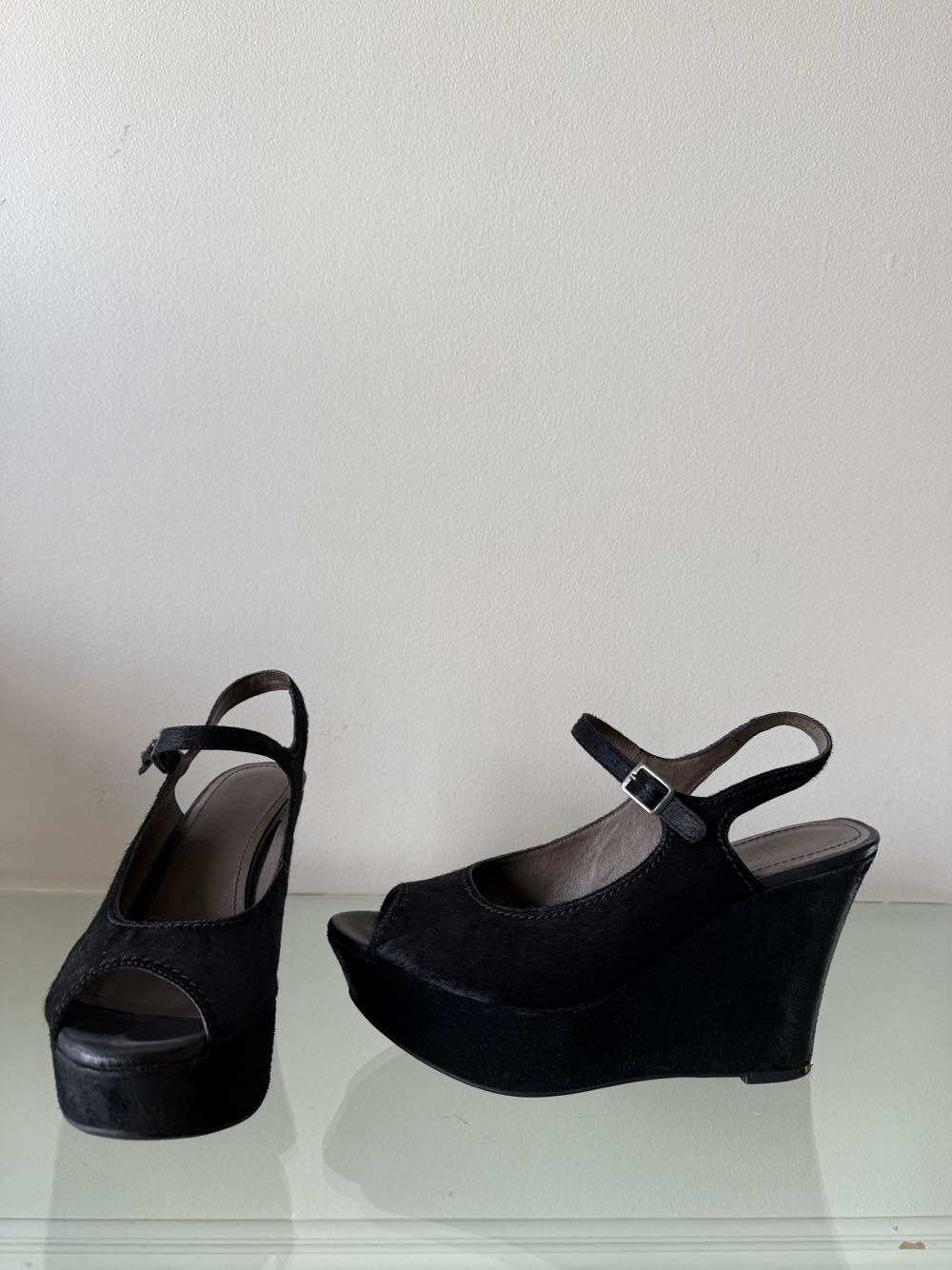 Yellow Strapped Kittens