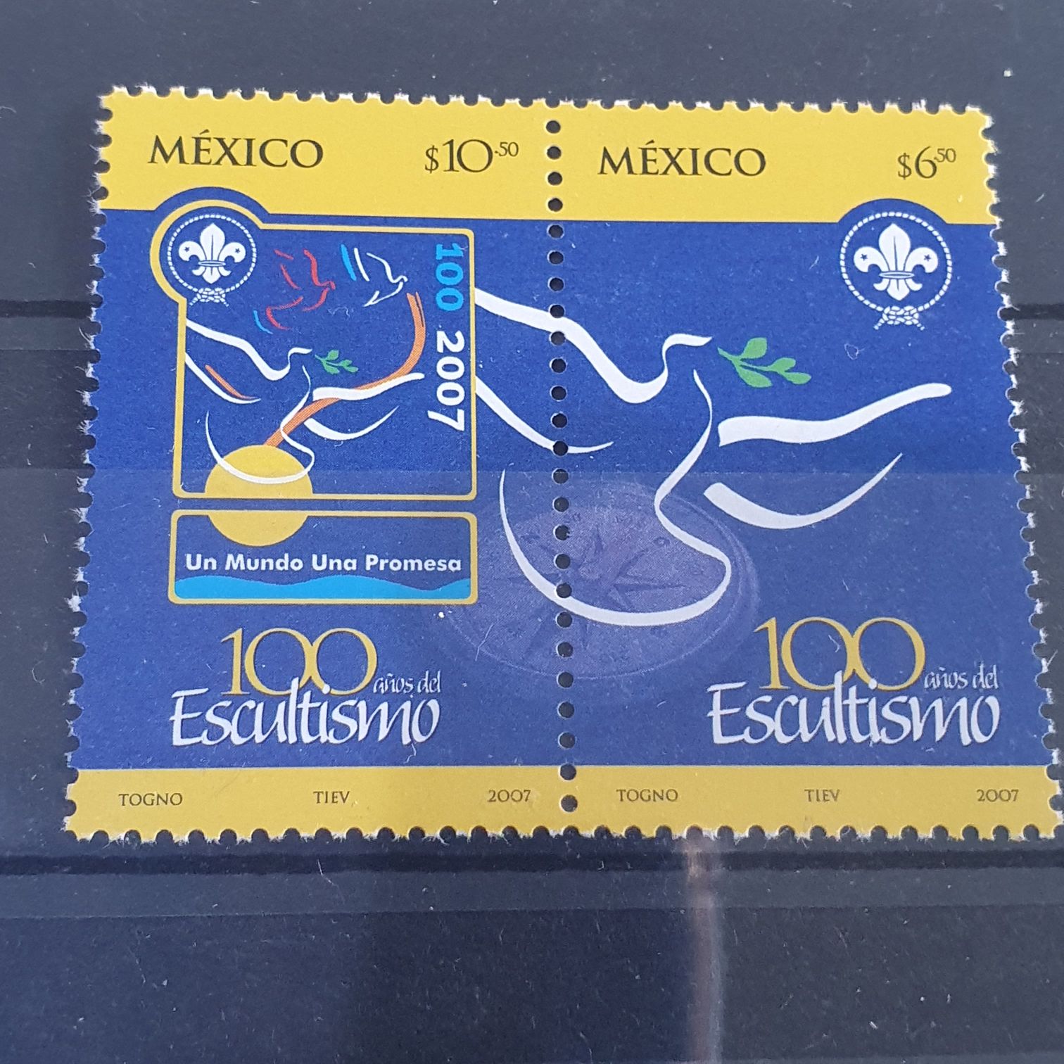 100 Años Del Escultismo  stamp collectible - Main Image 2