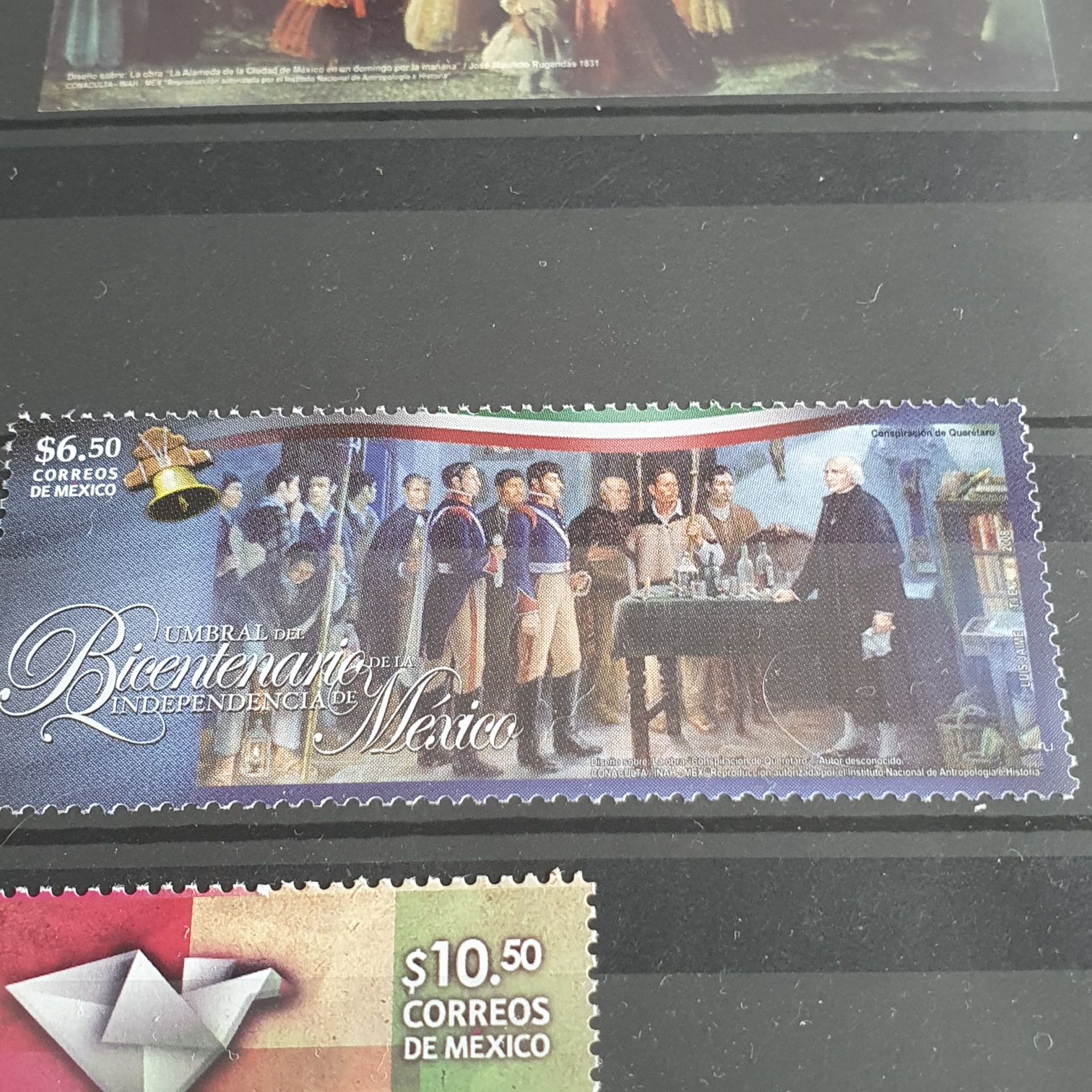 México Conserva Aves Costeras