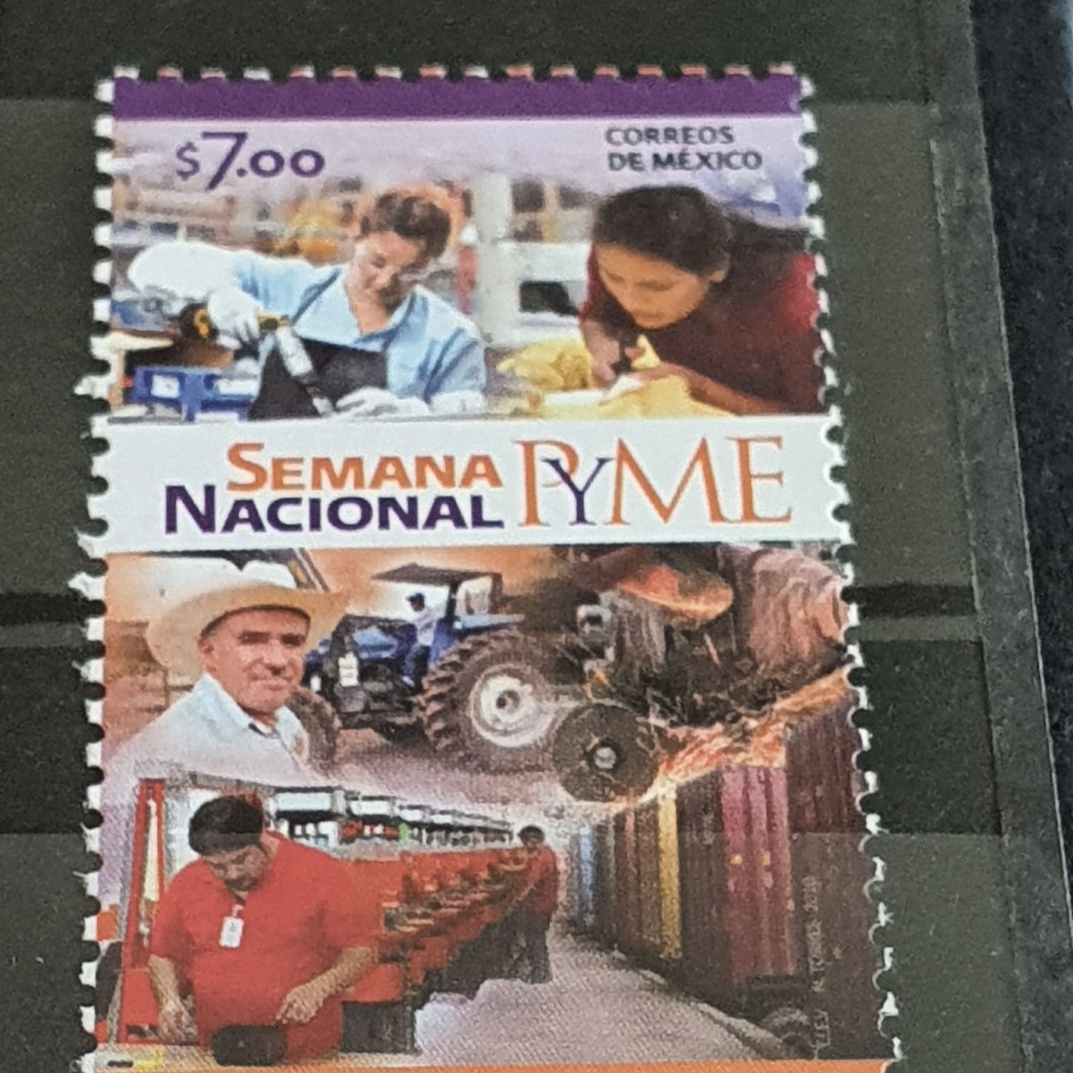 Replica 1918 Inverted Jenny Stamp