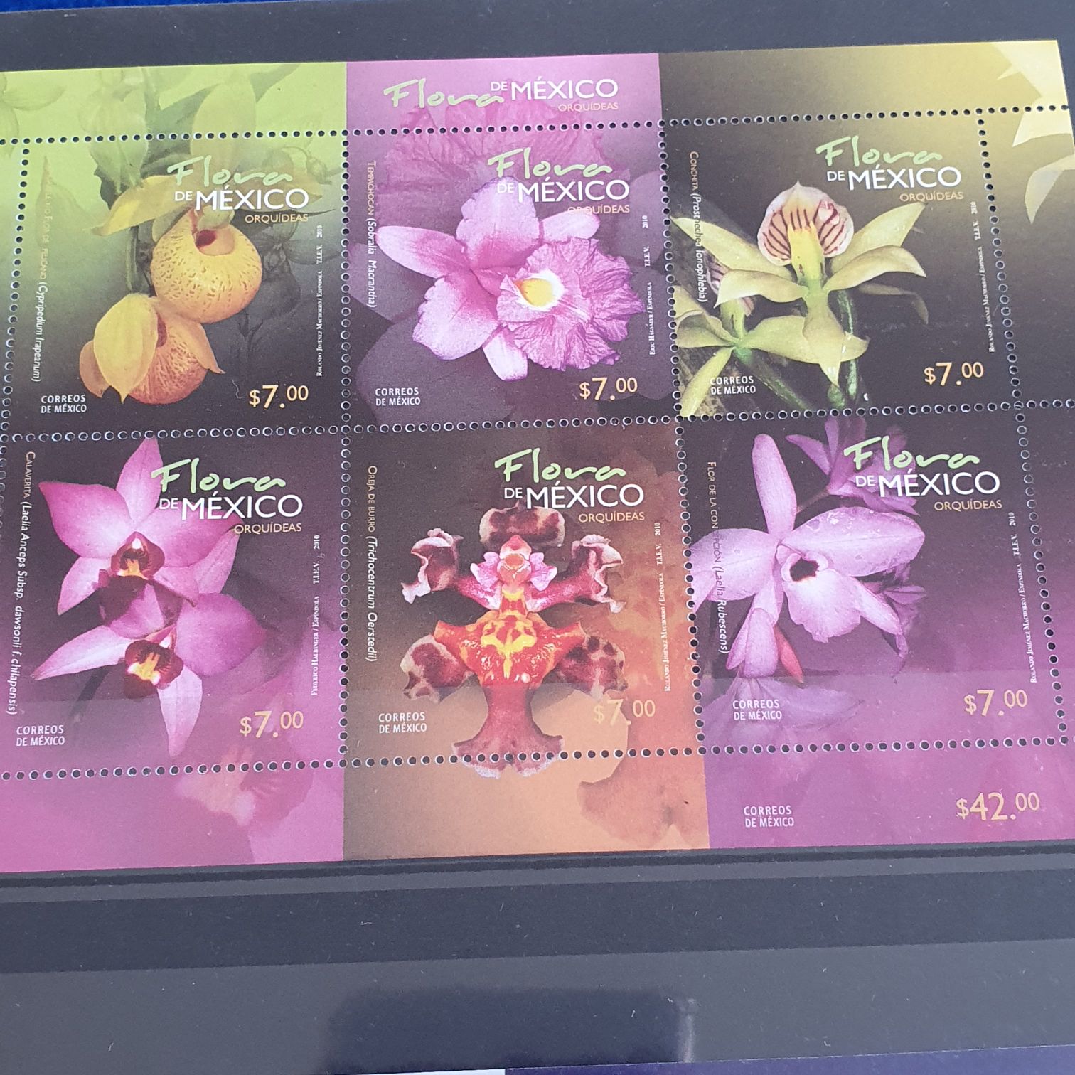 Flor De México  stamp collectible - Main Image 2