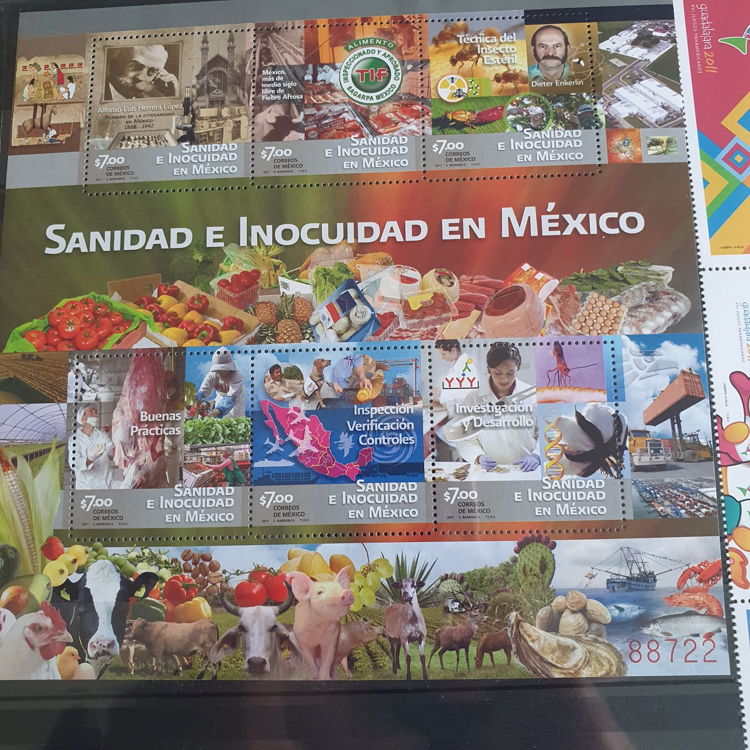 Sanidad E Inocuidad En México  stamp collectible - Main Image 2