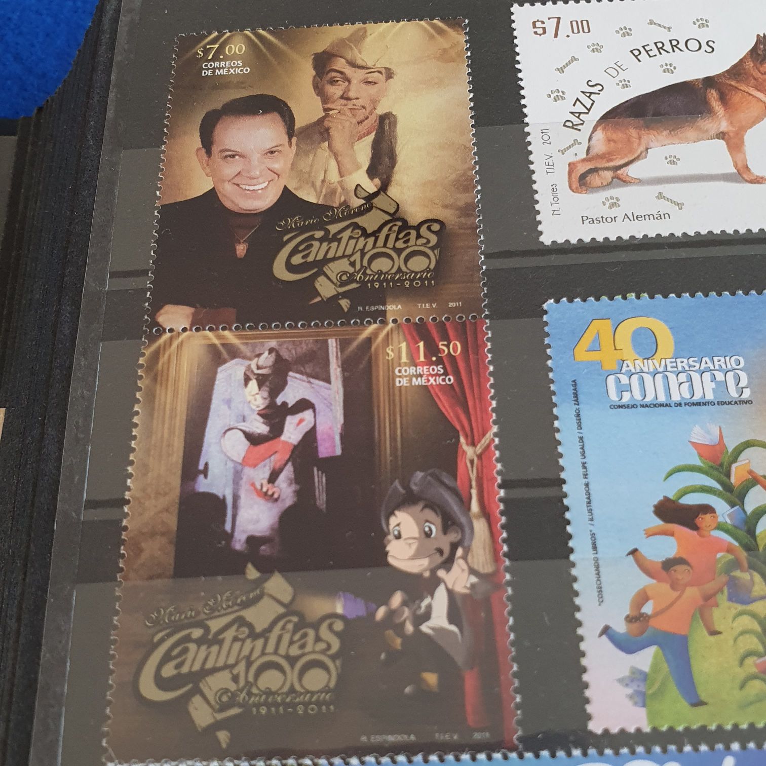 I Dont Trust Joggers