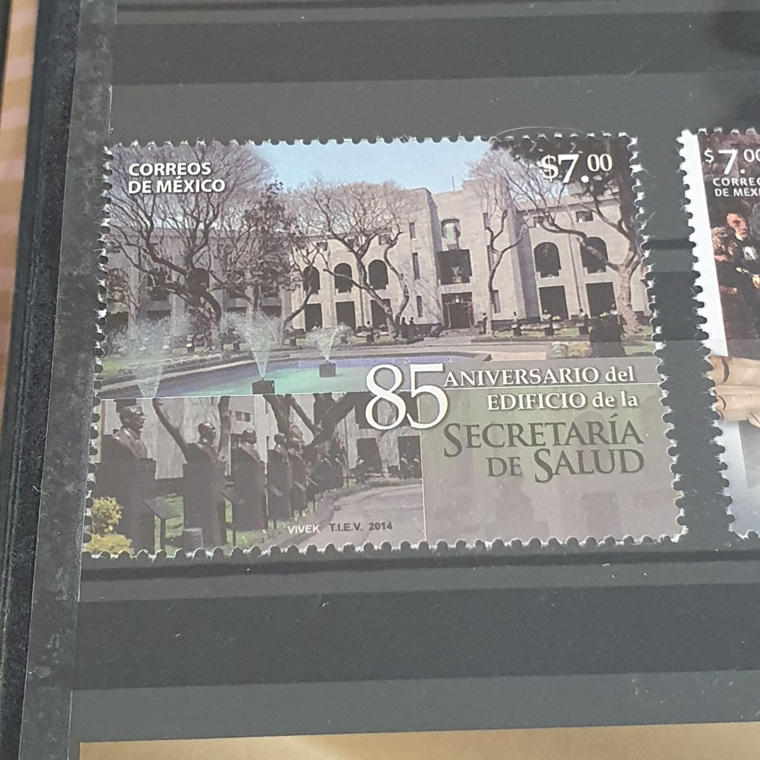 4478 Ponderosa Pine [FOREVER]