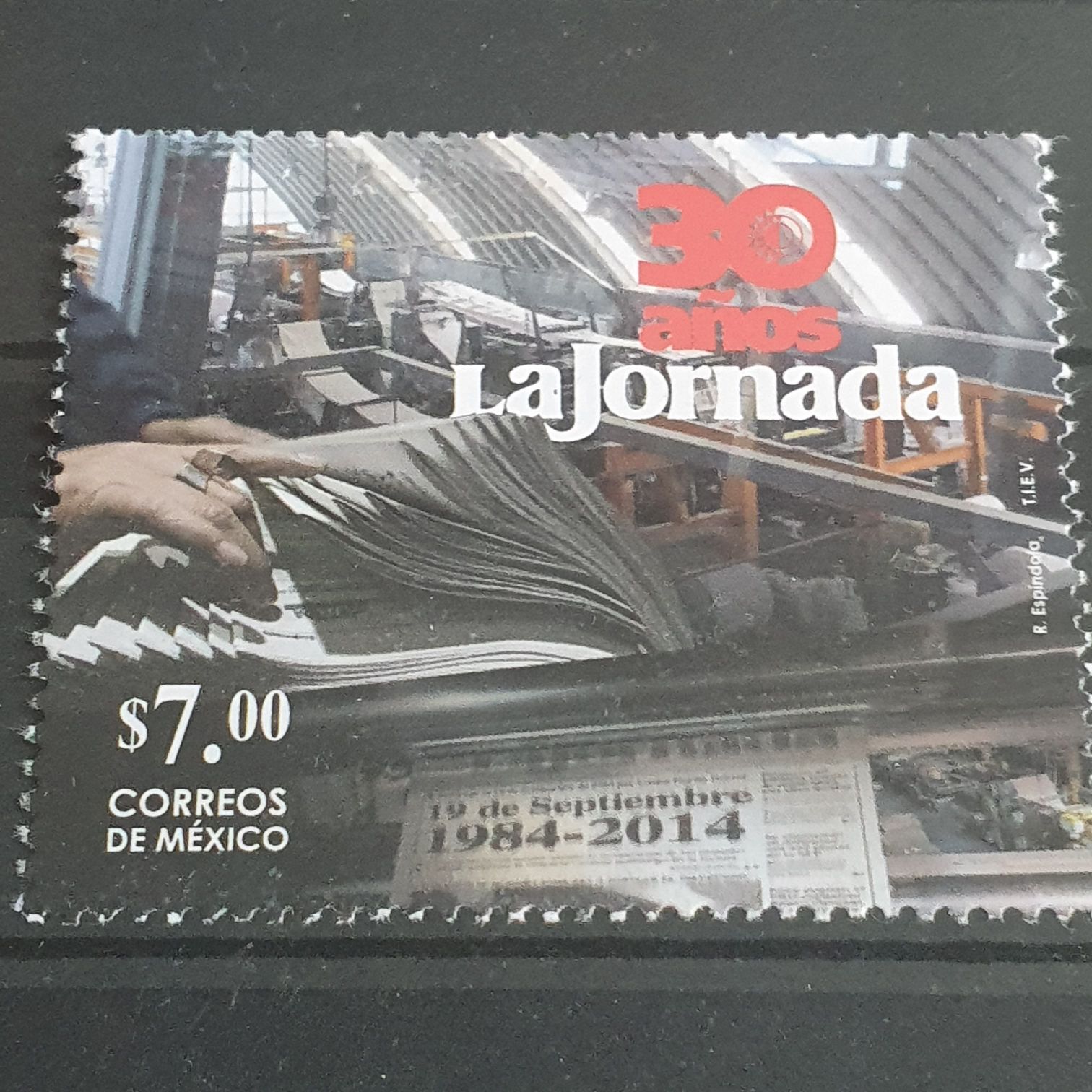 México Conserva Tortugas Marinas