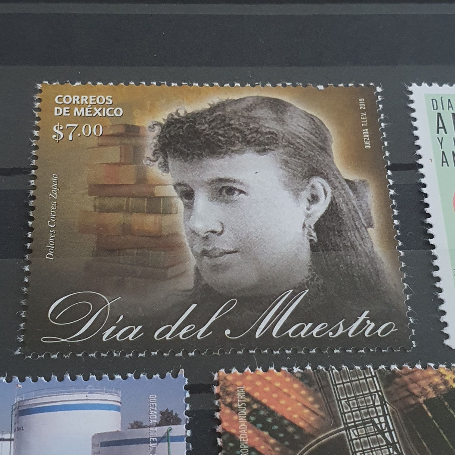 Día Del Maestro  stamp collectible - Main Image 2
