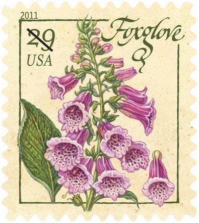 175 Aniversario Archivo General De La Nación