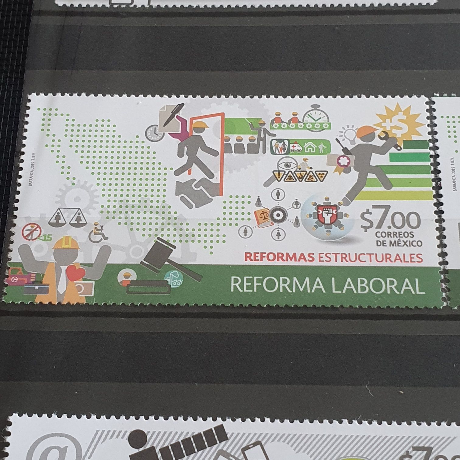 México Conserva Aves Costeras