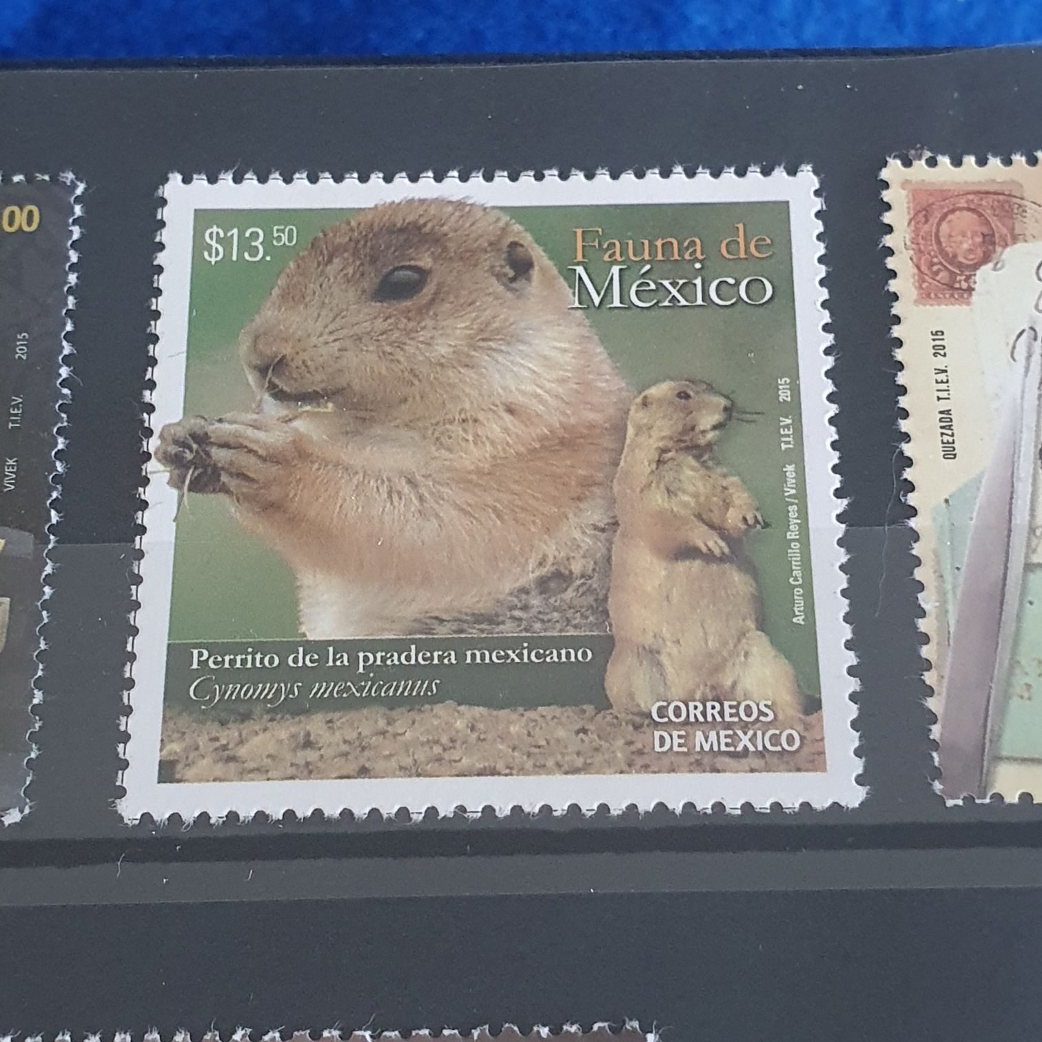 Fauna De México  stamp collectible - Main Image 2