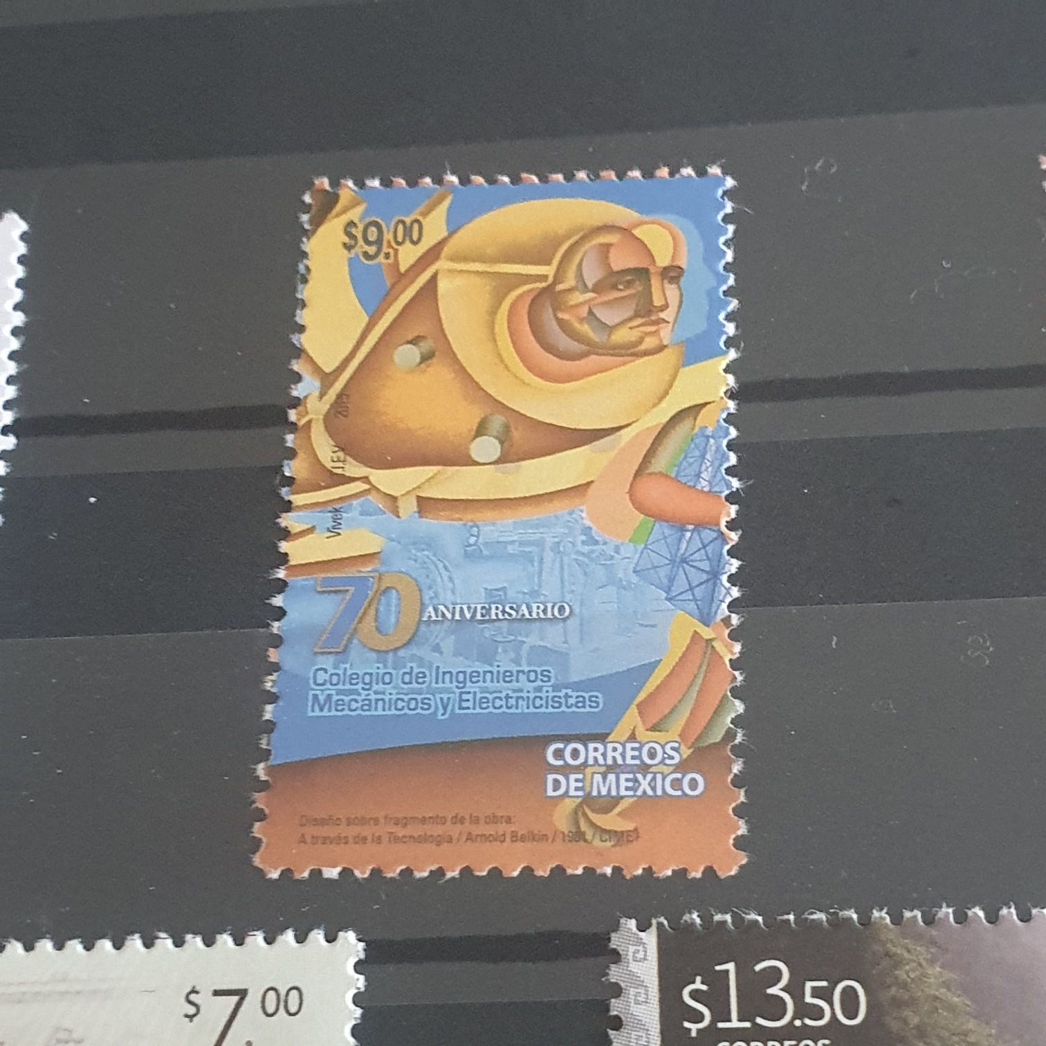 Unidos Para La Conservación Fundación Ara