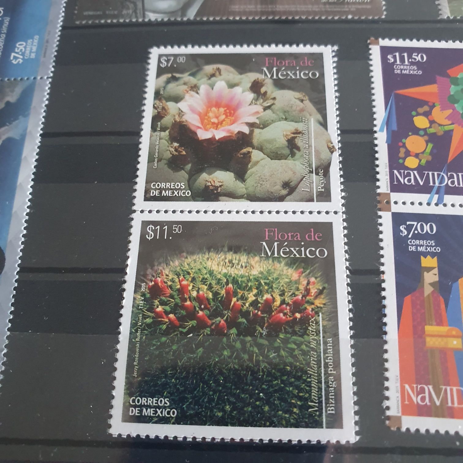 75 Aniversario Banco De México