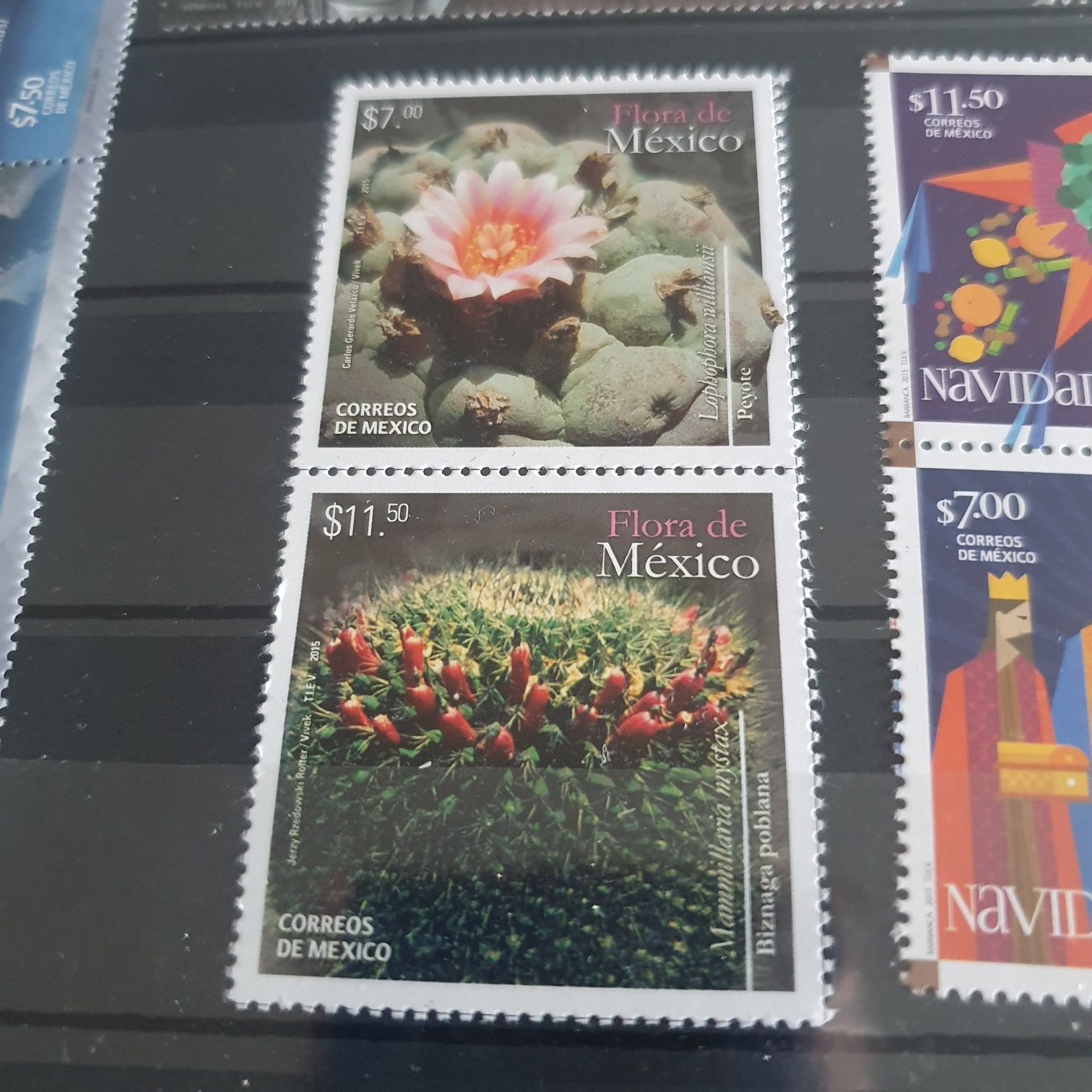 Flora De México  stamp collectible - Main Image 2