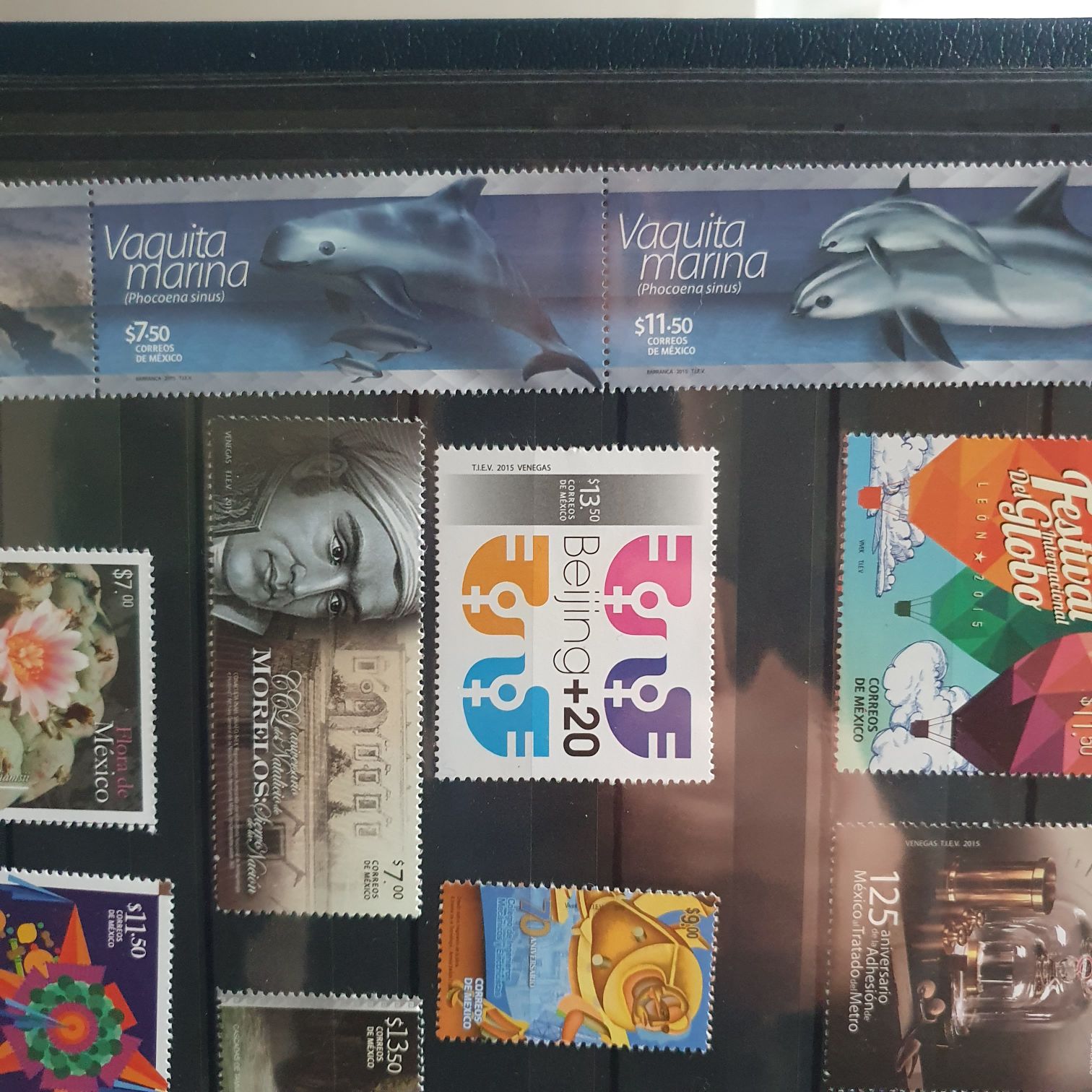 Vaquita Marina  stamp collectible - Main Image 2