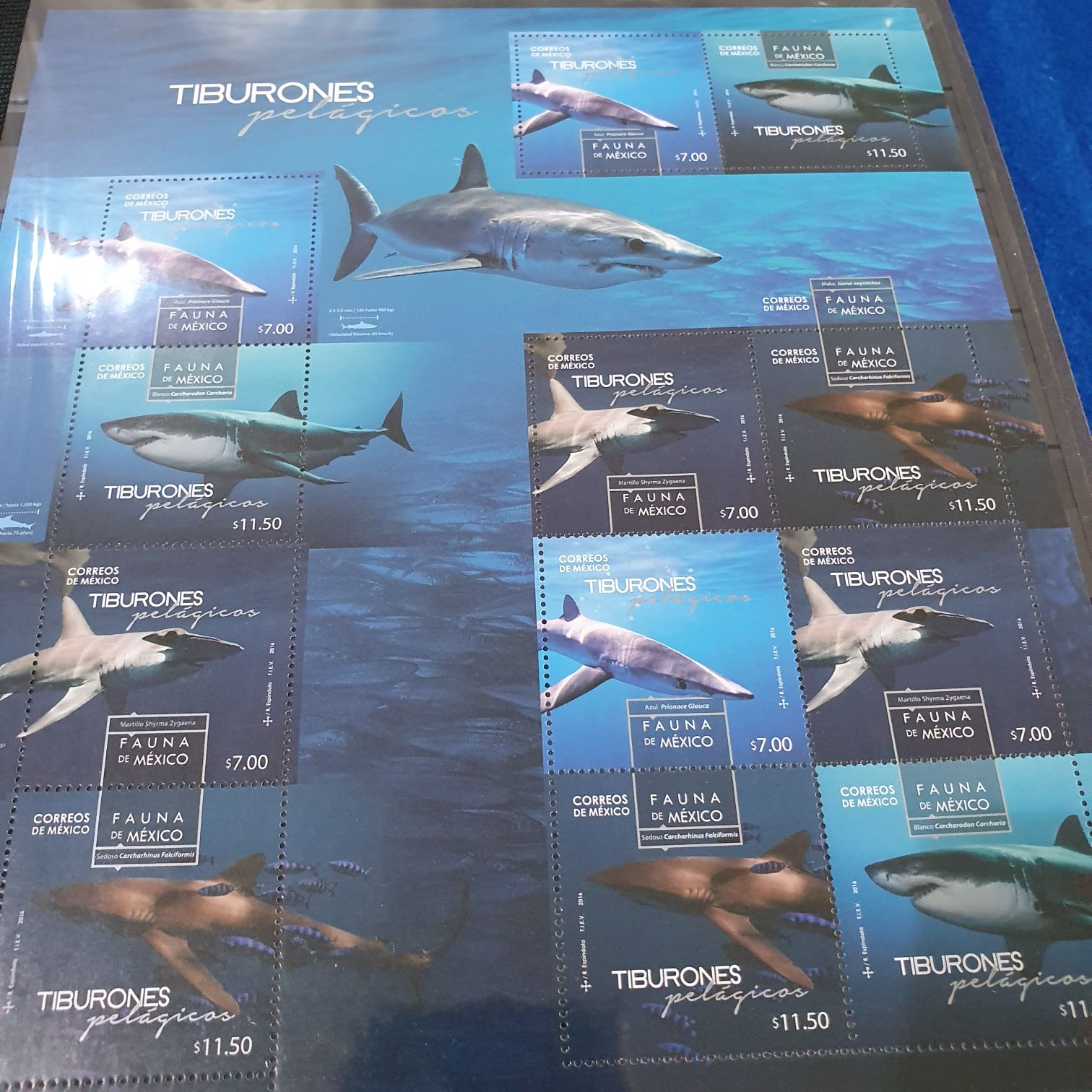 A Arte Urbana Dos Grafiteiros