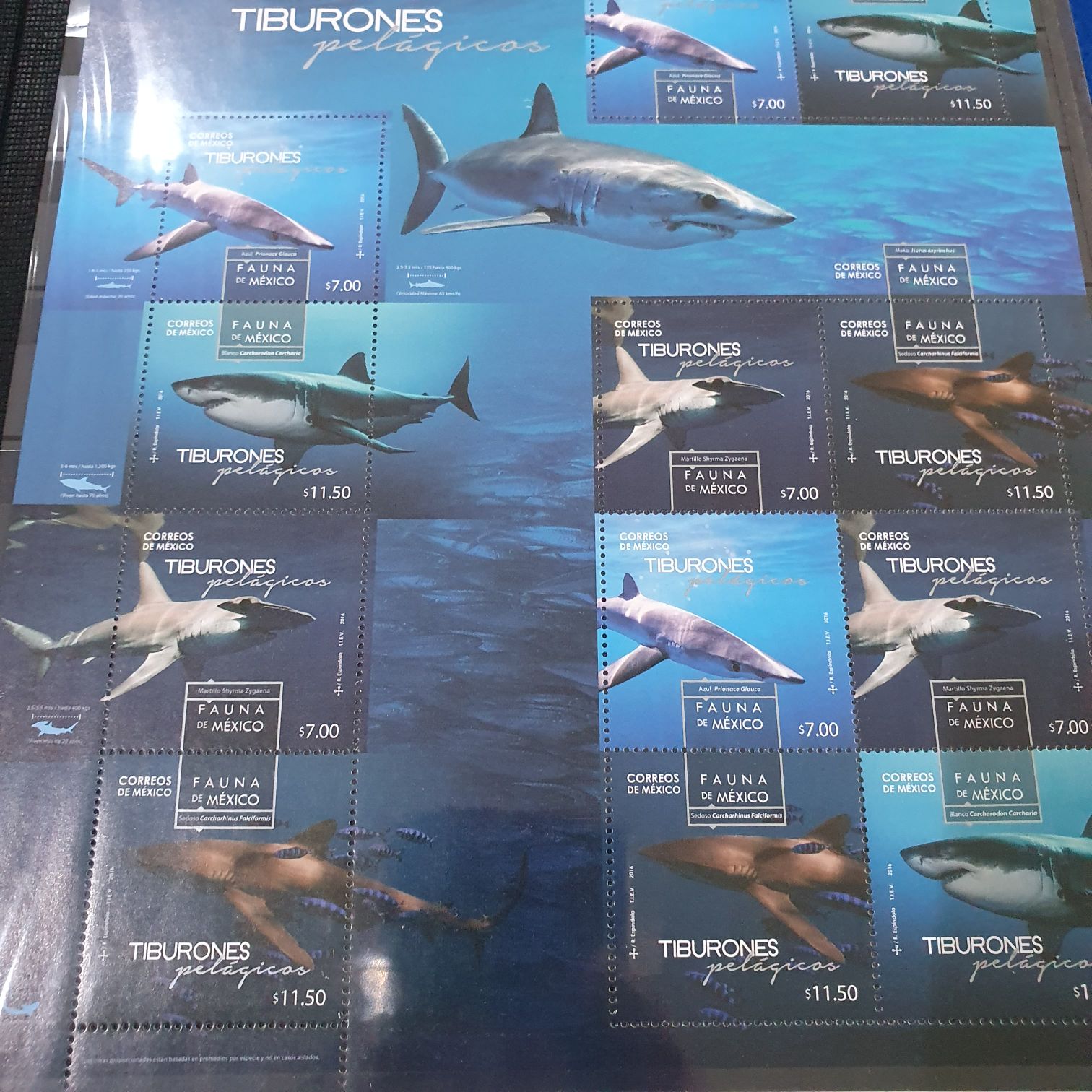 Tiburones Pelágicos  stamp collectible - Main Image 2