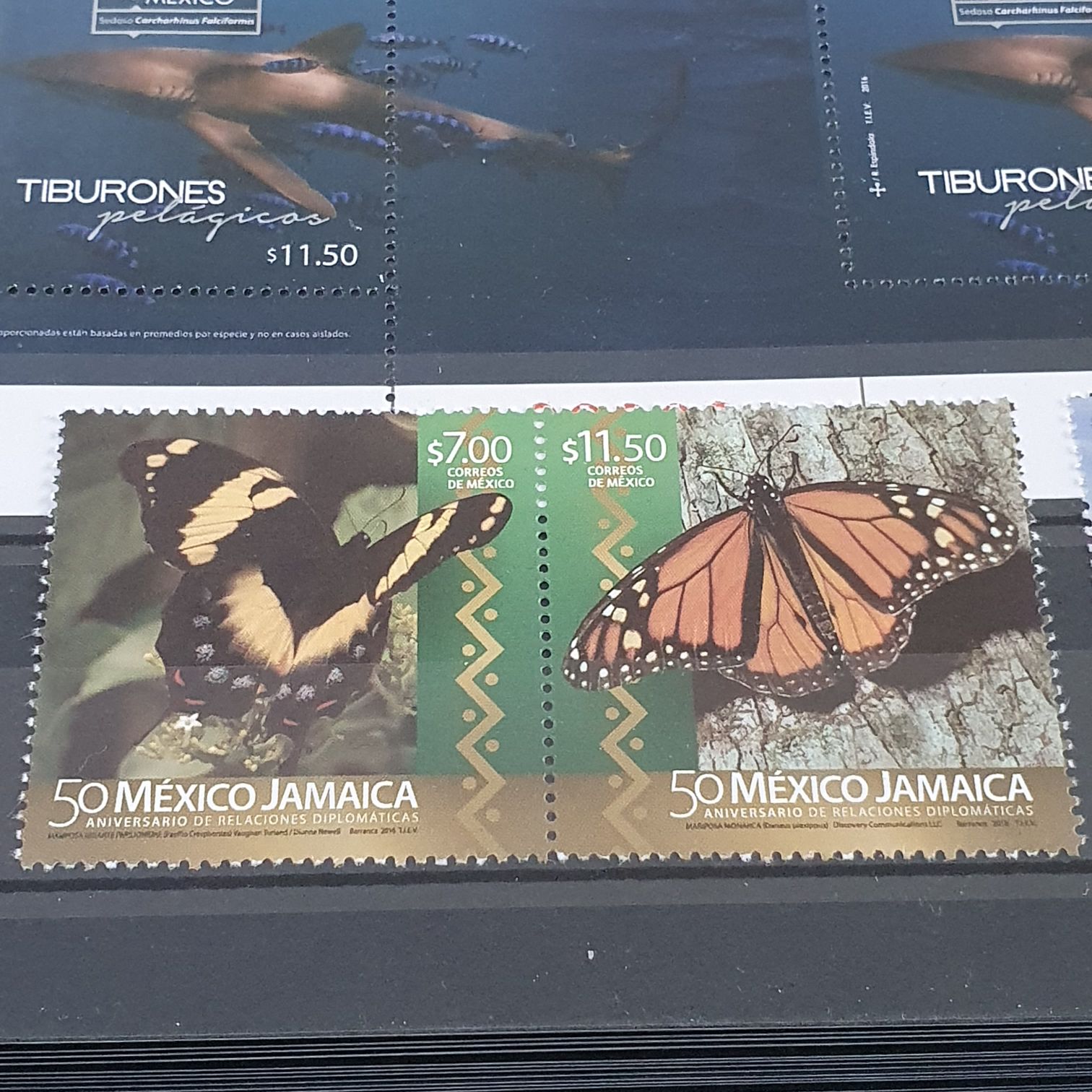 40 Spirit Of The Union