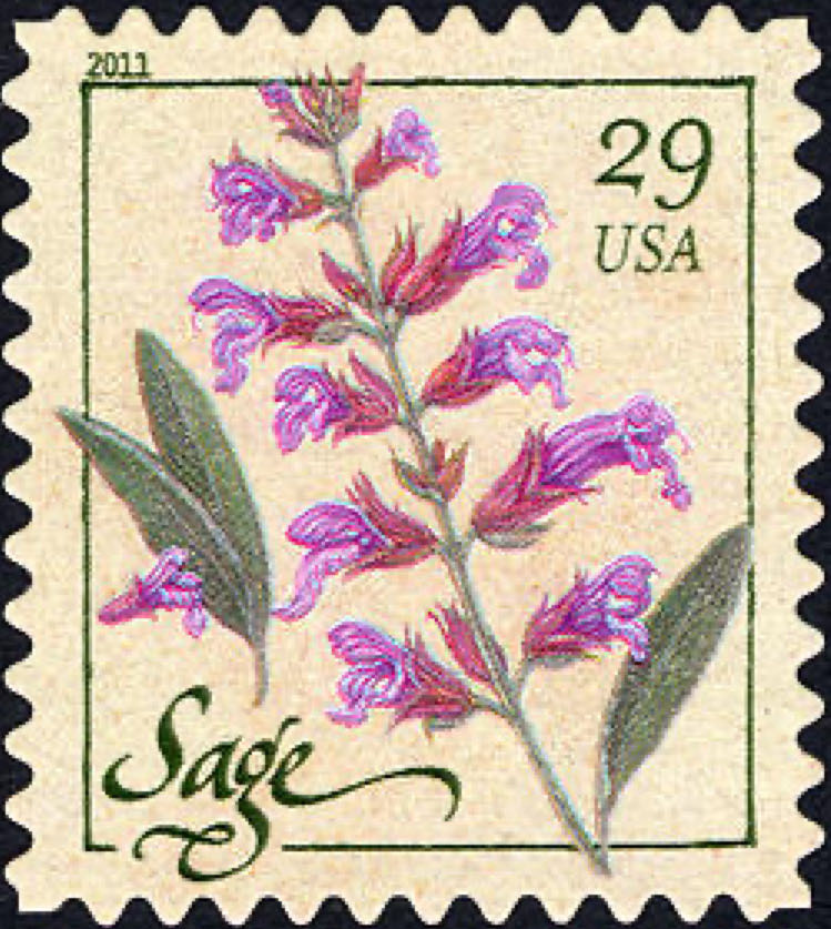 Fiestas De San Pedro Y San Marcial