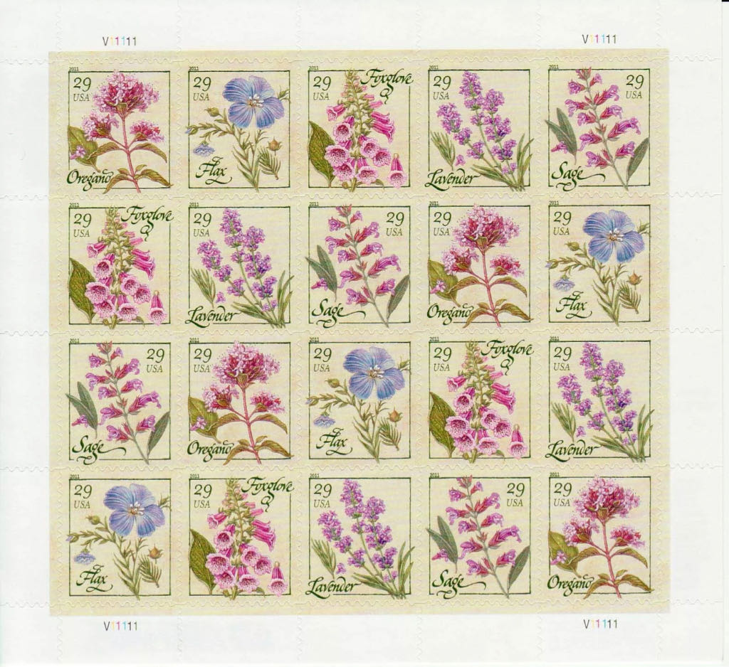 4509 Herb — Sage  stamp collectible - Main Image 2