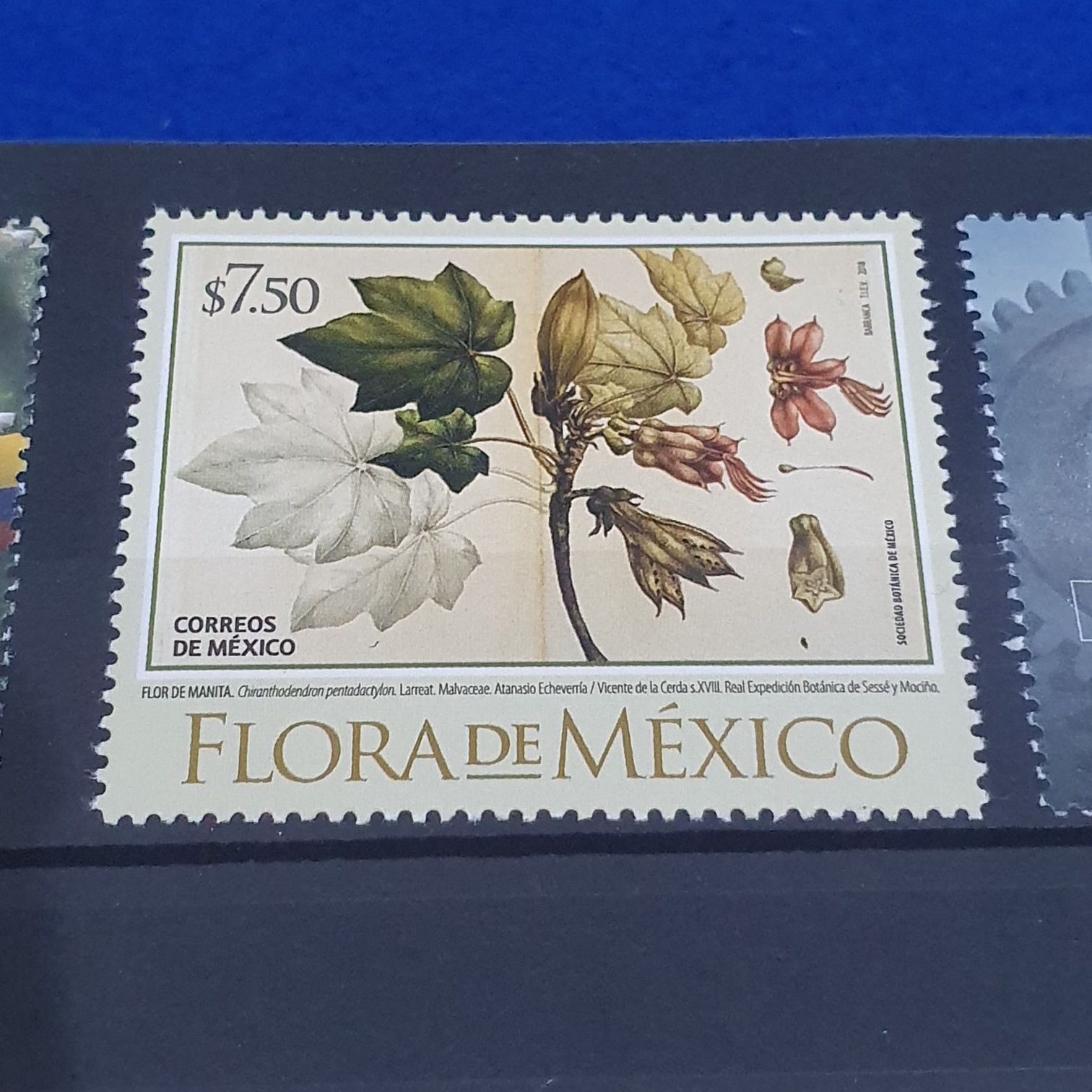 Flora De México  stamp collectible - Main Image 2